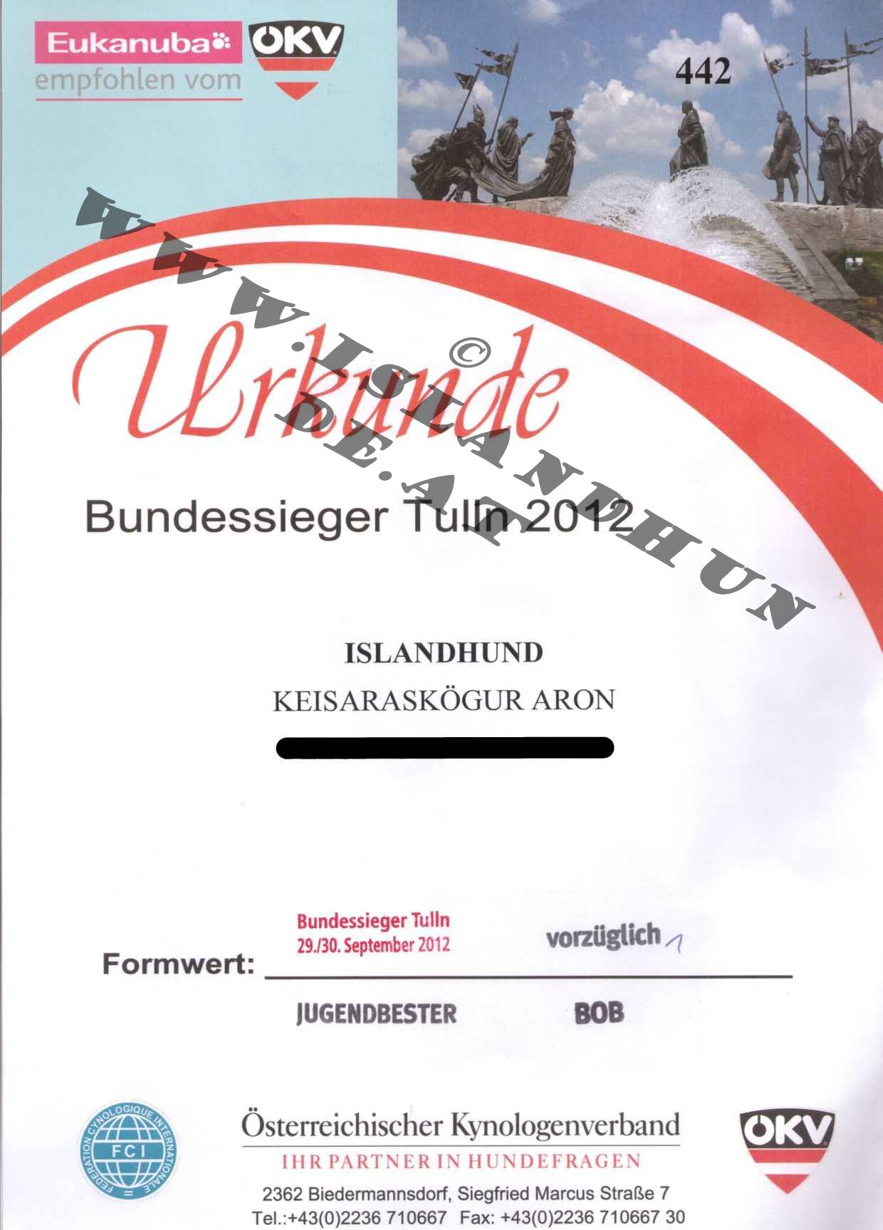 Urkunde Tulln 2012
