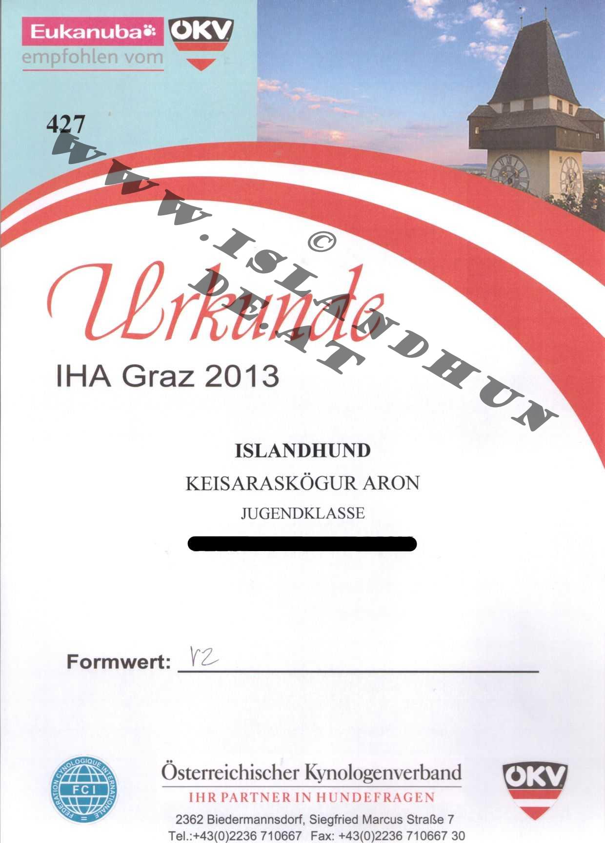 Urkunde IHA Graz 2013