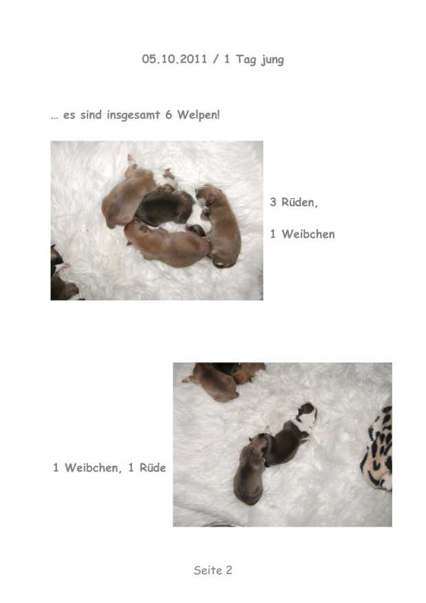 A-Wurf – Bild 2