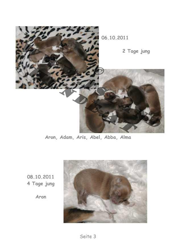 A-Wurf – Bild 3