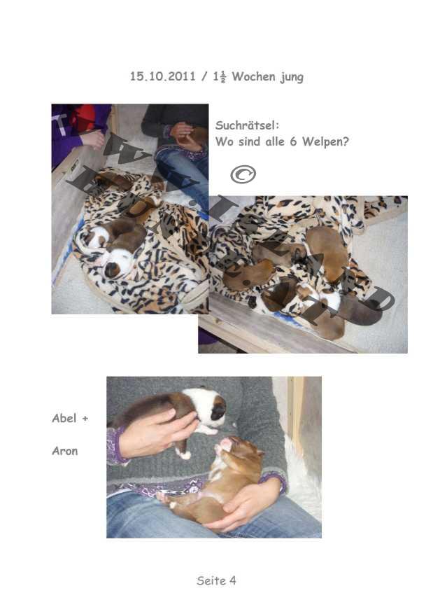 A-Wurf – Bild 4