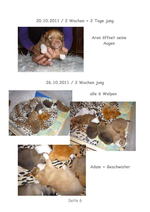 A-Wurf – Bild 6