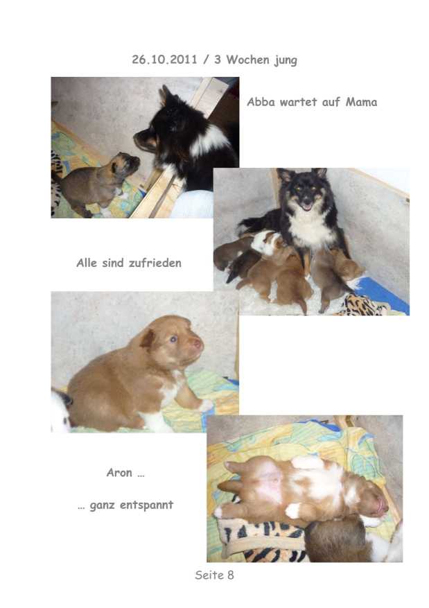 A-Wurf – Bild 8