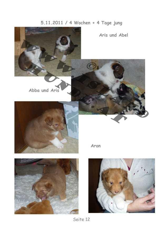 A-Wurf – Bild 12