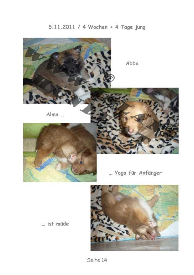 A-Wurf – Bild 14