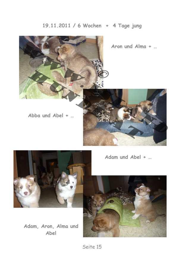 A-Wurf – Bild 15