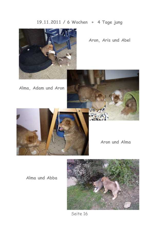 A-Wurf – Bild 16