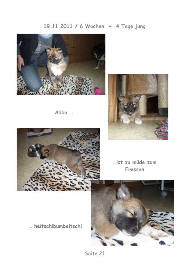 A-Wurf – Bild 21