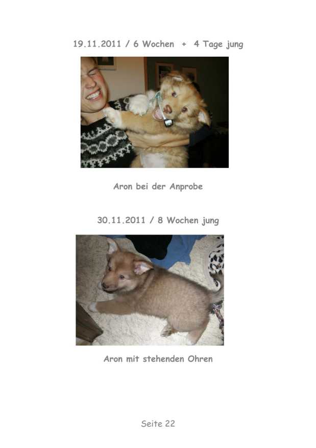 A-Wurf – Bild 22