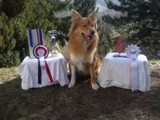 Aron mit Trophäen